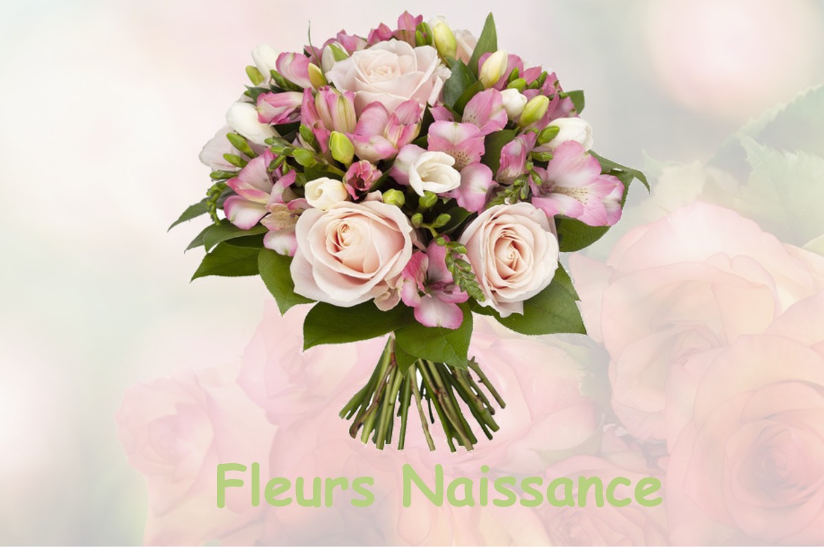 fleurs naissance SAINT-PRIEST-LA-MARCHE